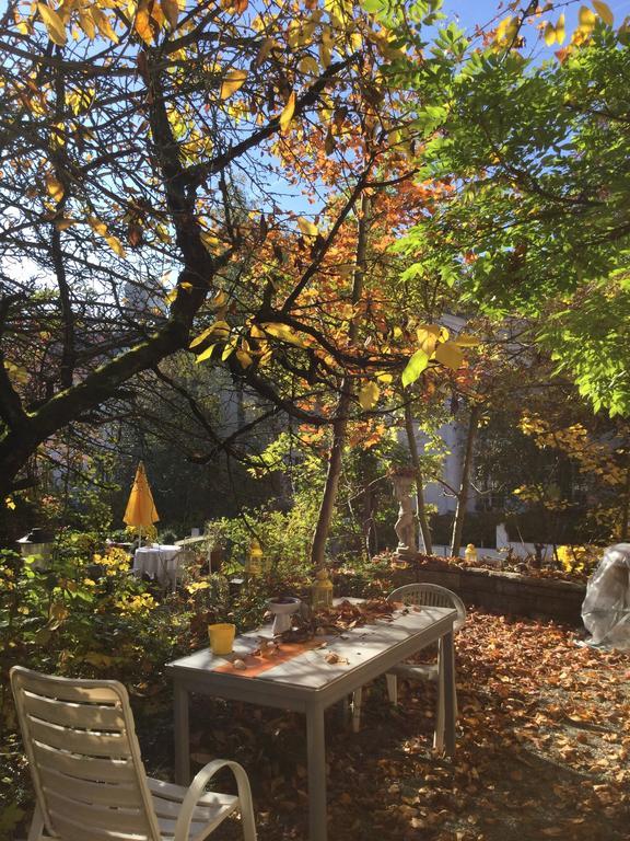 Garden Studio Apartment Zuerichberg Zewnętrze zdjęcie