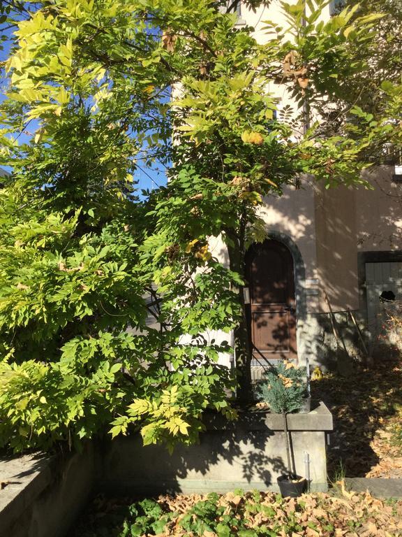 Garden Studio Apartment Zuerichberg Zewnętrze zdjęcie