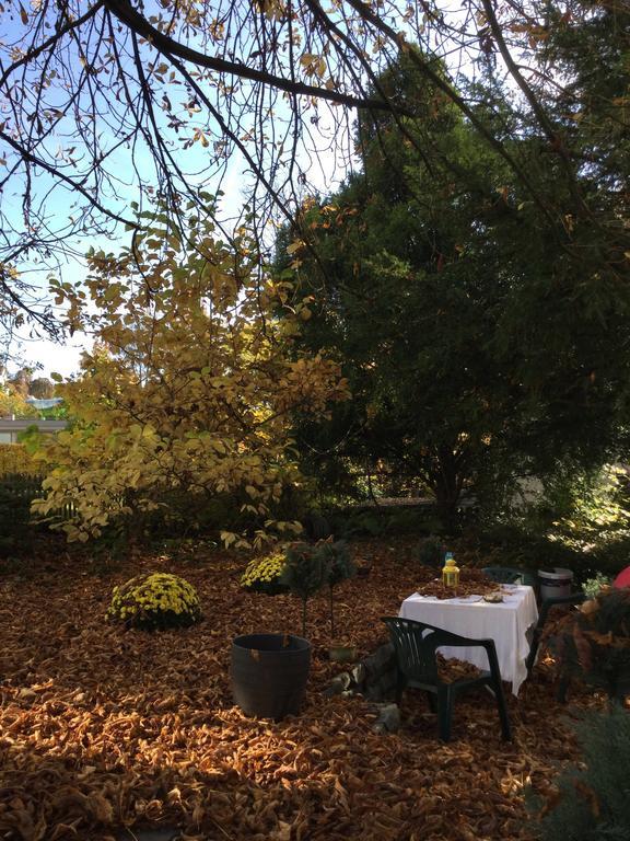 Garden Studio Apartment Zuerichberg Zewnętrze zdjęcie