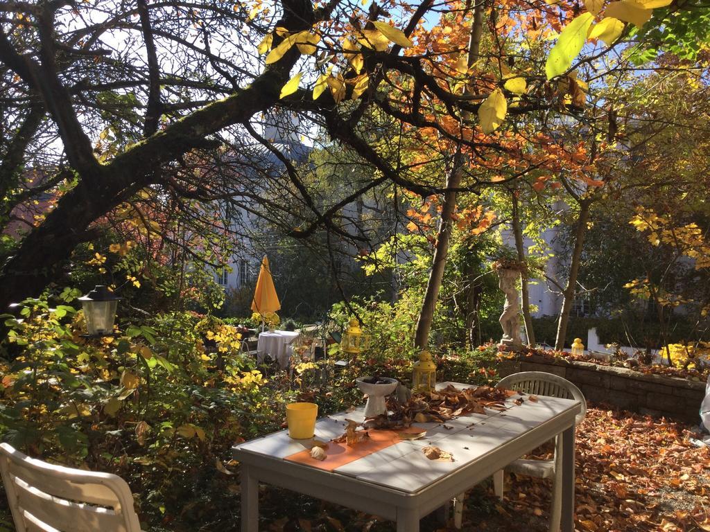 Garden Studio Apartment Zuerichberg Zewnętrze zdjęcie