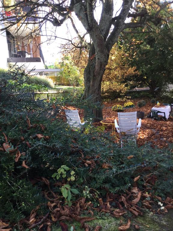 Garden Studio Apartment Zuerichberg Zewnętrze zdjęcie
